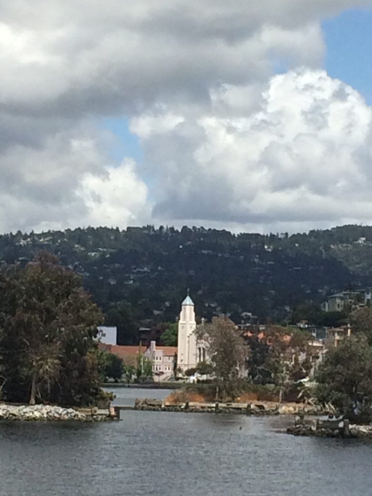 Spring at Lake Merritt Garden - by Diane Rawicz